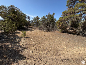 8911  Sams Wash Rd MLS #2141273