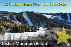 1  Tushar Mountain Ests MLS #2141287
