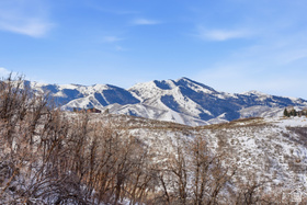 2014  Canyon Gate Rd MLS #2141303