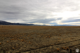 3110 W Crooked Ln MLS #2141827