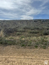 3113 S Bunch Grass Dr MLS #2142034