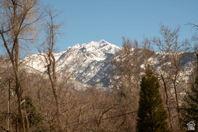 2323 E Walker Ln MLS #2142671