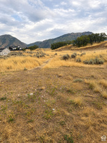 320 E East Ridgeview Dr MLS #2142768