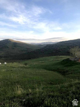 264 E Parkview Rd MLS #2142813