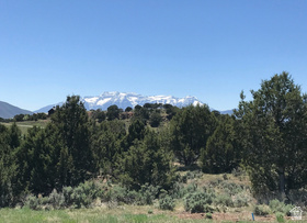 295 N Ibapah Peak Dr MLS #2142984