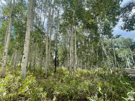 11485 E Violet Way MLS #2143681