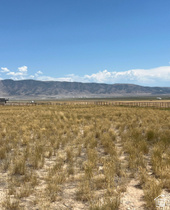 2609 N Weekly Rd MLS #2144135