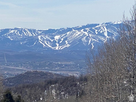 2604 S Forest Meadow Rd MLS #2144759