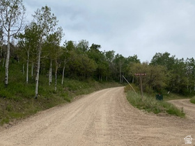 2604 S Forest Meadow Rd MLS #2144759