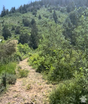 424  Beaver Creek Rd Hls MLS #2144814