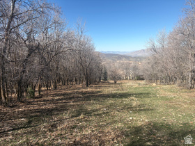 1040 S Pineview Dr MLS #2144919