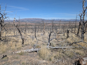 Address Not Available MLS #2145120