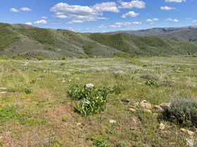 3348 N Water Canyon Cir MLS #2145318