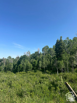 Address Not Available MLS #2145770