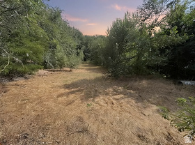 1648 E 4150 S MLS #2145828