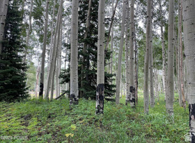 4410  Fawn Way MLS #2145867