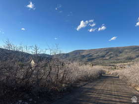 1707 S Cottonwood Ct MLS #2145959