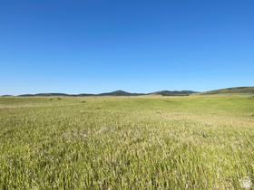 19300  North Daniels Rd MLS #2146115