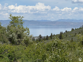 1511 S Mahogany Dr MLS #2146119