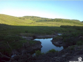 4000  Ant Flat Rd MLS #2148185