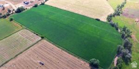 565 E Main Canyon Rd MLS #2148370