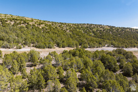 1612 N A1 Peak Cir MLS #2148384