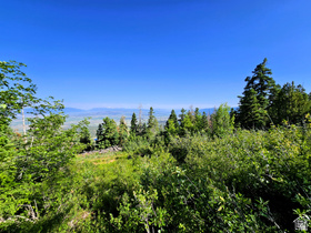 12  Pine Ridge Estates Dr MLS #2148498