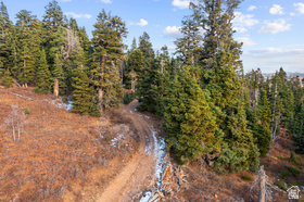 1974  Elk Rd MLS #2148785