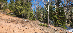 590 W Kokapelli MLS #2148905