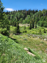 5041  Cougar Ln MLS #2149159