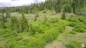 5041  Cougar Ln MLS #2149159