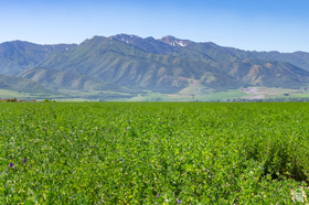 6400 S 2633 W MLS #2149223