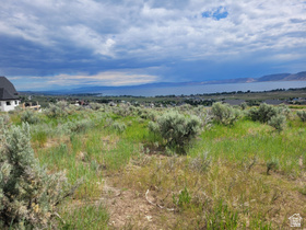 441 W Starflower Way MLS #2149329