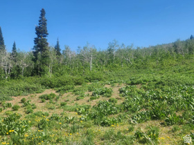 7434 N Rendezvous Rd MLS #2149569