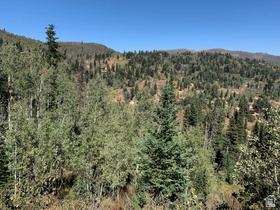 2185 S Uintah View Dr MLS #2149753