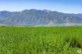 2680 W 6400 S MLS #2149855