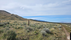 25  Stansbury Agricultural Propert MLS #2149923