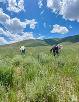 25  Stansbury Agricultural Propert MLS #2149923