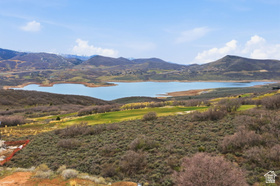 1150  Lasso Trl MLS #2149991