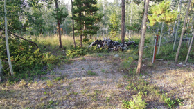 1239  Deer Ln MLS #2150012