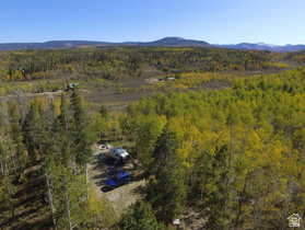 1239  Deer Ln MLS #2150012