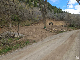 53 S Birch Creek Dr MLS #2150039