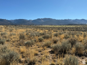 Address Not Available MLS #2150101