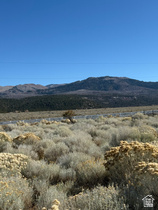 Address Not Available MLS #2150104