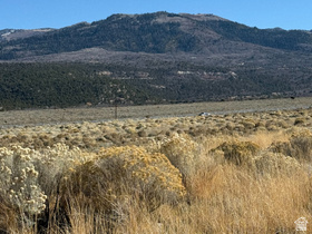 Address Not Available MLS #2150108