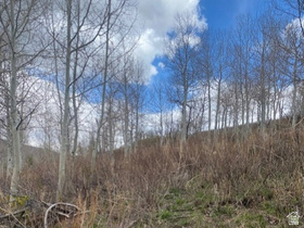 1117 W Arapaho Dr MLS #2150230