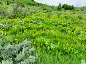 839 S Boosway Cir MLS #2150357