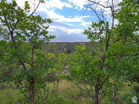 1132 E Shadow Way MLS #2150860