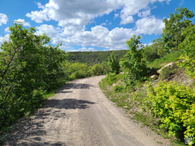 865 E Juniper Dr MLS #2150861