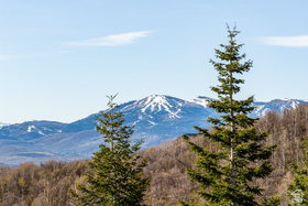 10135 N Kimball Canyon Rd MLS #2151606